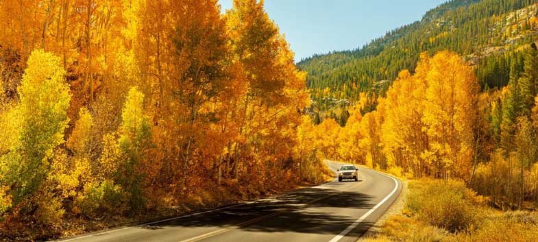 Car driving through the Sierra Nevada Mountains in the fall.