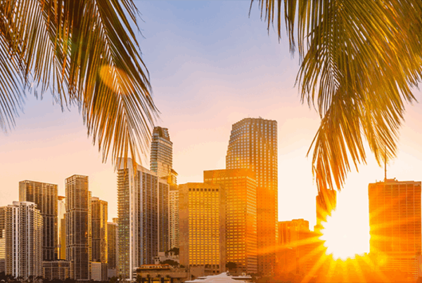 Palm trees frame a city skyline at sunset, with sunlight shining through the buildings and casting a warm glow over the tall skyscrapers—just moments away from convenient WallyPark Airport Parking.