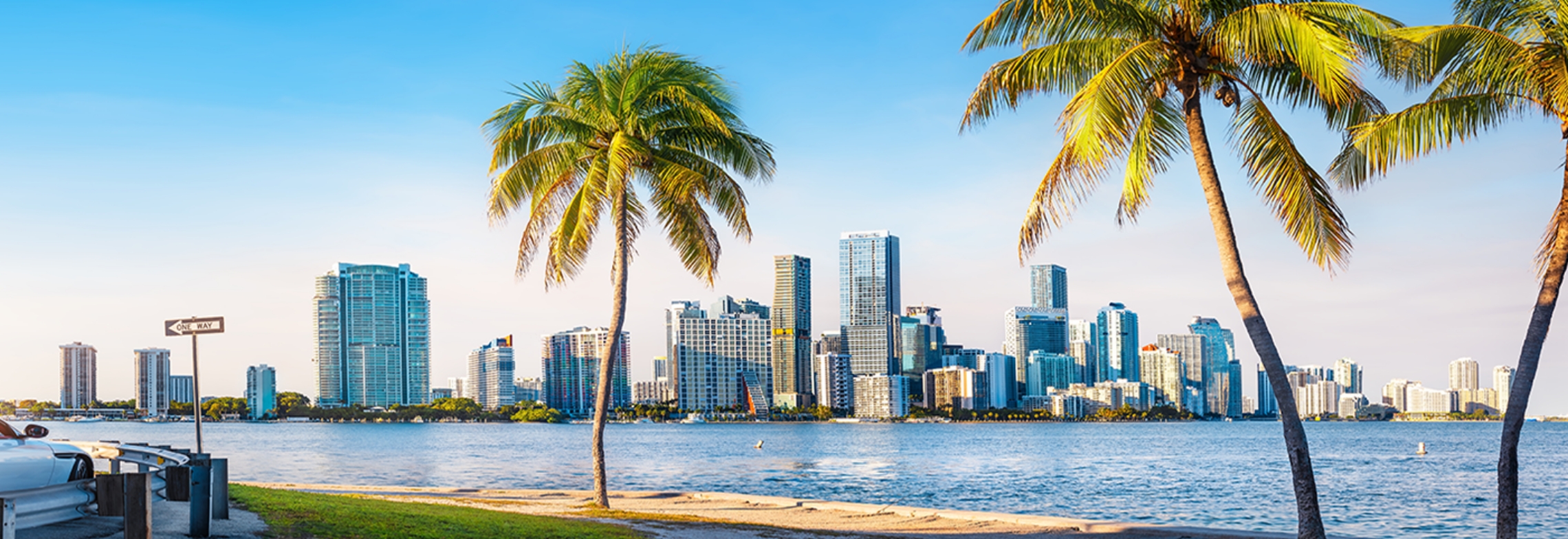 Miami city skyline with tall modern buildings, blue sky, and palm trees in the foreground along the waterfront on a sunny day—just minutes from WallyPark Airport Parking for your convenience.