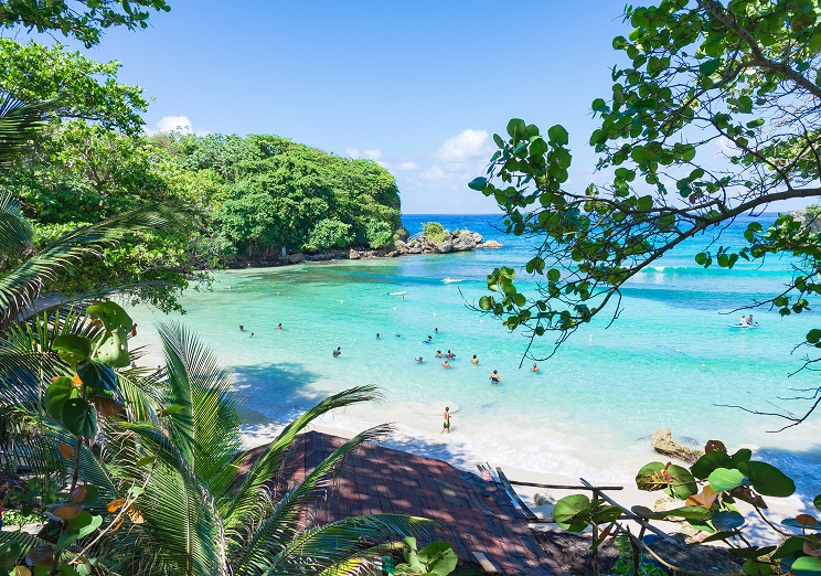 View of a tropical beach with clear turquoise water, lush green trees, and people swimming and enjoying the sunny weather—perfect for relaxing after your trip with WallyPark Airport Parking. Leaves, branches, and a wooden roof frame the scene.