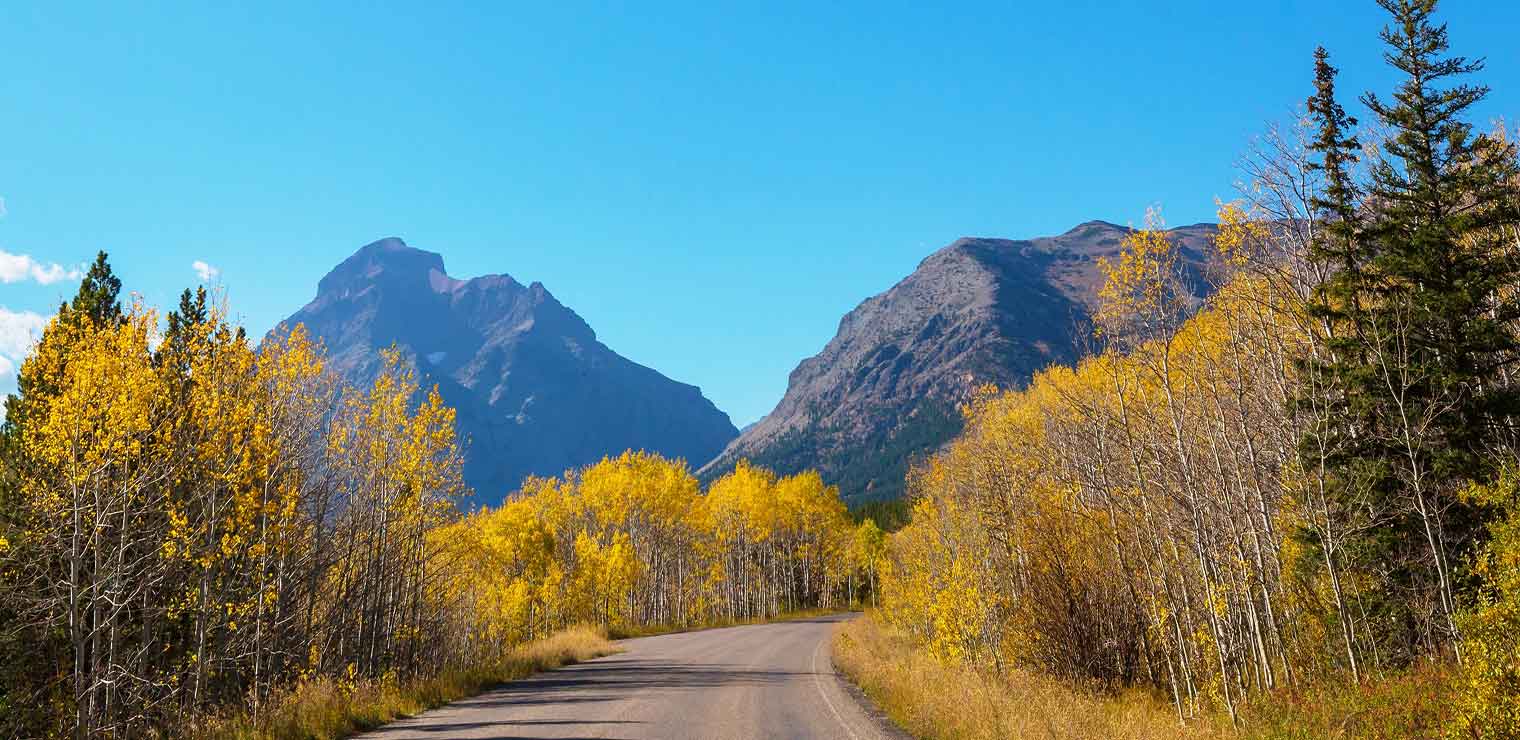 A paved road curves through a forest of trees with yellow autumn leaves, leading toward tall, rocky mountains under a clear blue sky—much like the smooth journey and peace of mind you get with WallyPark Airport Parking.